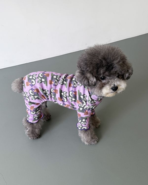 預購1028收單 | côte à côte 秋季紫色松鼠木耳邊四腳衣(SM-2XL) 寵物服飾,寵物選品,韓國寵物服飾,狗衣服,貓衣服,韓國寵物品牌,韓國寵物選品,韓國寵物春夏選品,寵物背心,COTEACOTE,韓國寵物品牌服飾,韓國寵物秋冬選品,寵物四腳衣,寵物連身褲,韓國冬天寵物,寵物保暖