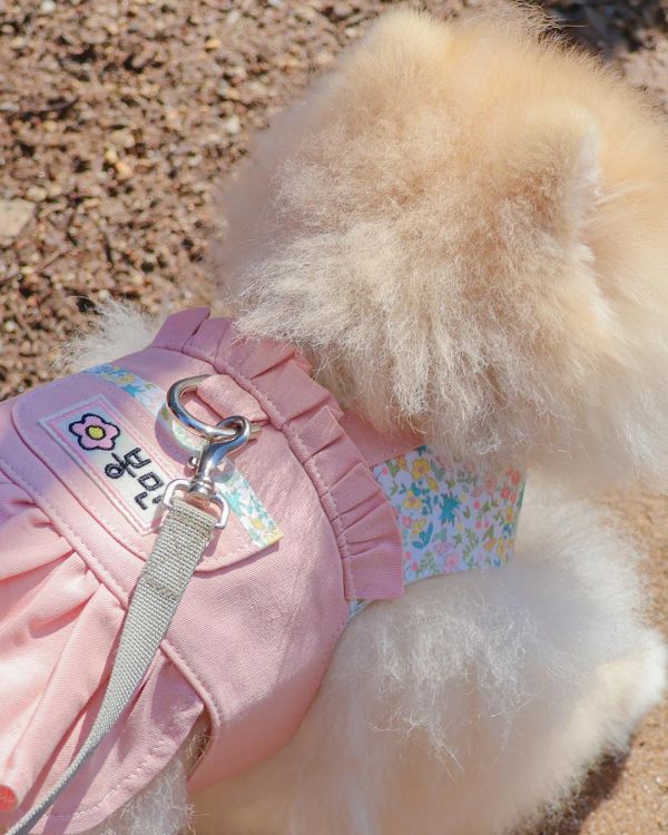 預購0313收單 | Epeels 馬卡龍碎花胸背衣(下單請備註刺繡內容) 寵物服飾,寵物選品,韓國寵物服飾,狗衣服,貓衣服,韓國寵物品牌,韓國寵物選品,韓國寵物春夏選品,寵物名牌,寵物客製商品,EPEELS,太陽花胸背裝飾