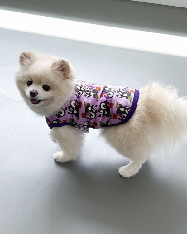 預購1028收單 | côte à côte 秋季紫色松鼠無袖背心(SM-3XL) 寵物服飾,寵物選品,韓國寵物服飾,狗衣服,貓衣服,韓國寵物品牌,韓國寵物選品,韓國寵物春夏選品,寵物背心,COTEACOTE,韓國寵物品牌服飾,韓國寵物秋冬選品,寵物四腳衣,寵物連身褲,韓國冬天寵物,寵物保暖