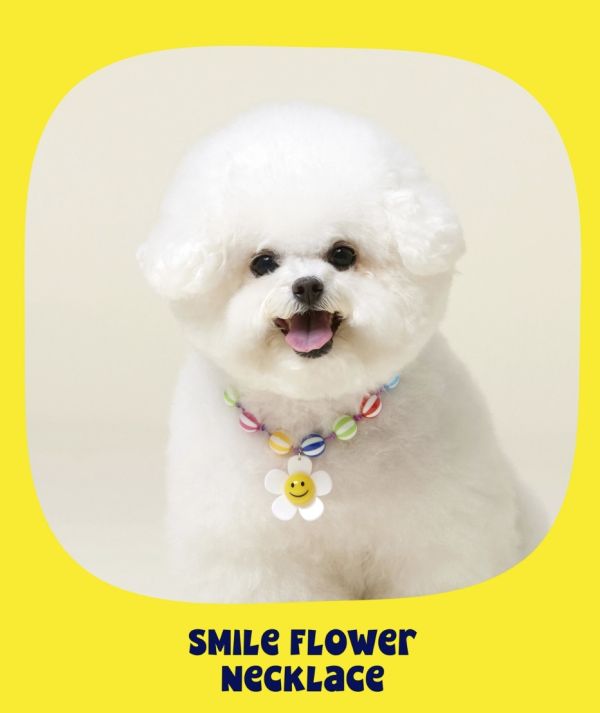 4DOGS | 微笑小雛菊糖果風可調式項鍊(S-L) 寵物服飾,寵物選品,韓國寵物服飾,狗衣服,貓衣服,韓國寵物品牌,寵物項鍊,4DOGS