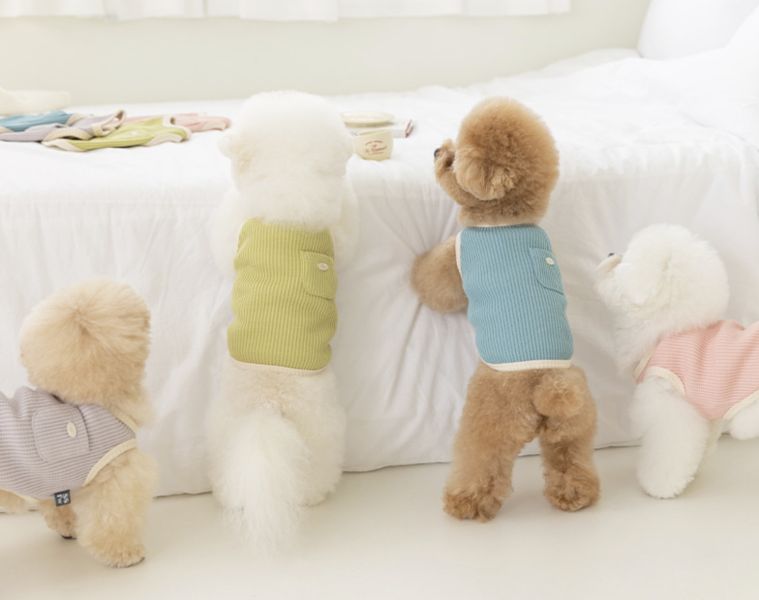SSFW單口袋鬆餅格背心(S-2XL) 寵物服飾,寵物選品,韓國寵物服飾,狗衣服,貓衣服,韓國寵物品牌,寵物秋冬,寵物針織
