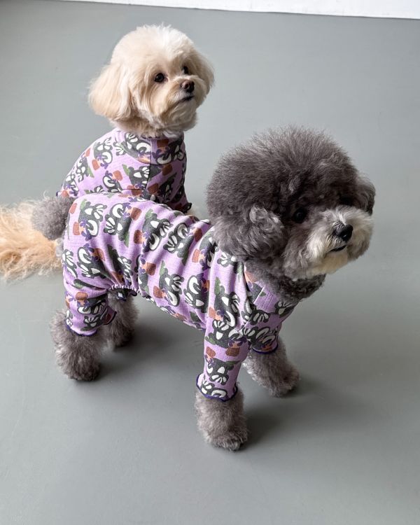 預購1028收單 | côte à côte 秋季紫色松鼠木耳邊四腳衣(SM-2XL) 寵物服飾,寵物選品,韓國寵物服飾,狗衣服,貓衣服,韓國寵物品牌,韓國寵物選品,韓國寵物春夏選品,寵物背心,COTEACOTE,韓國寵物品牌服飾,韓國寵物秋冬選品,寵物四腳衣,寵物連身褲,韓國冬天寵物,寵物保暖