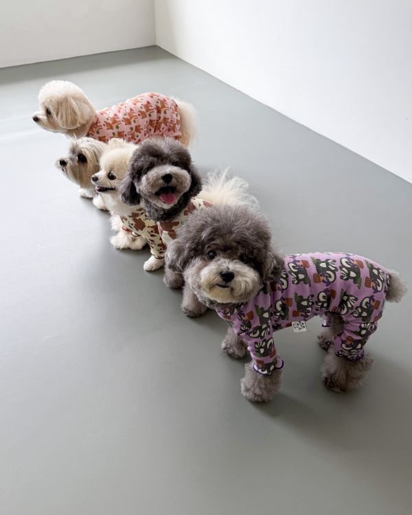 預購1028收單 | côte à côte 秋季紫色松鼠木耳邊四腳衣(SM-2XL) 寵物服飾,寵物選品,韓國寵物服飾,狗衣服,貓衣服,韓國寵物品牌,韓國寵物選品,韓國寵物春夏選品,寵物背心,COTEACOTE,韓國寵物品牌服飾,韓國寵物秋冬選品,寵物四腳衣,寵物連身褲,韓國冬天寵物,寵物保暖