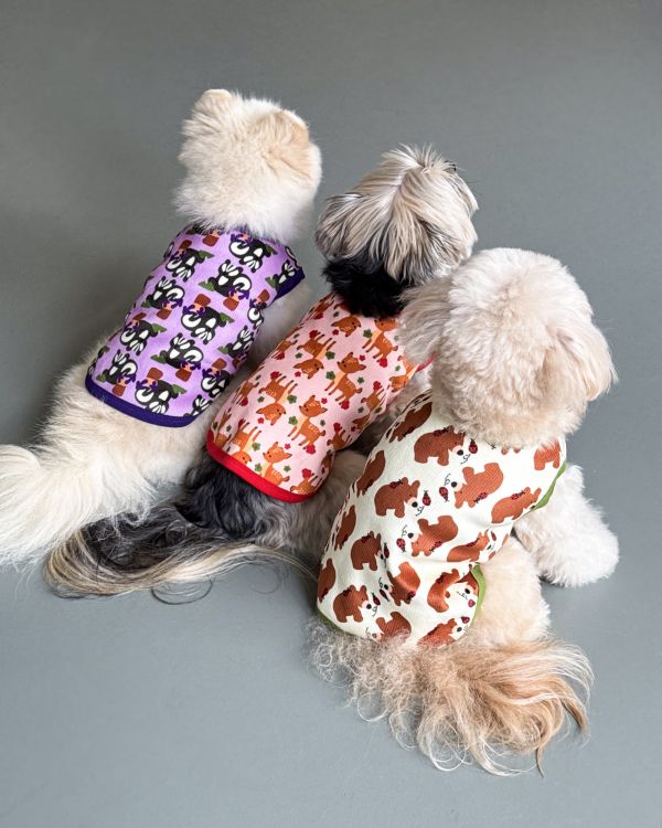 預購1028收單 | côte à côte 秋季小熊無袖背心(SM-3XL) 寵物服飾,寵物選品,韓國寵物服飾,狗衣服,貓衣服,韓國寵物品牌,韓國寵物選品,韓國寵物春夏選品,寵物背心,COTEACOTE,韓國寵物品牌服飾,韓國寵物秋冬選品,寵物四腳衣,寵物連身褲,韓國冬天寵物,寵物保暖