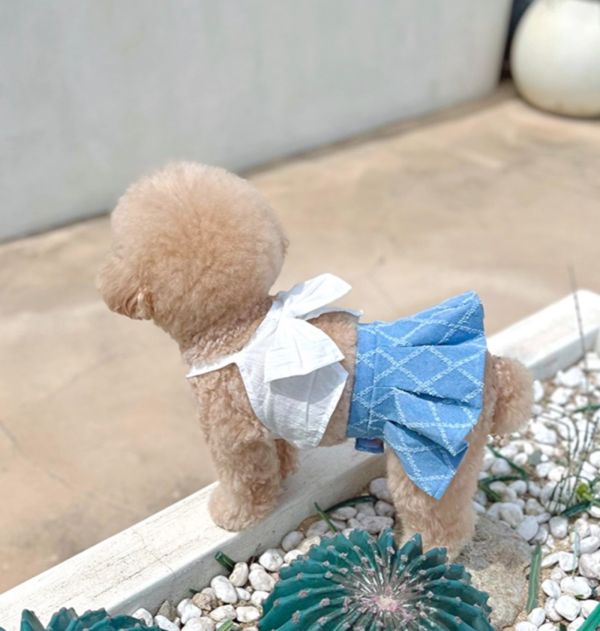 BuyAllDog | 白色牛仔布大蝴蝶結小可愛 寵物服飾,寵物選品,韓國寵物服飾,狗衣服,貓衣服,韓國寵物品牌