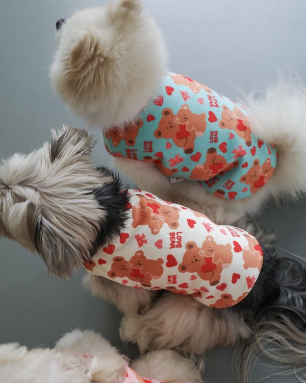 預購1028收單 | côte à côte 秋季愛心熊熊無袖背心(3色，SM-3XL) 寵物服飾,寵物選品,韓國寵物服飾,狗衣服,貓衣服,韓國寵物品牌,韓國寵物選品,韓國寵物春夏選品,寵物背心,COTEACOTE,韓國寵物品牌服飾,韓國寵物秋冬選品,寵物四腳衣,寵物連身褲,韓國冬天寵物,寵物保暖