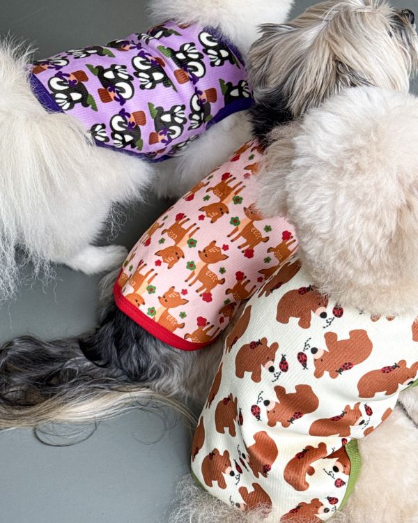 預購1028收單 | côte à côte 秋季小熊無袖背心(SM-3XL) 寵物服飾,寵物選品,韓國寵物服飾,狗衣服,貓衣服,韓國寵物品牌,韓國寵物選品,韓國寵物春夏選品,寵物背心,COTEACOTE,韓國寵物品牌服飾,韓國寵物秋冬選品,寵物四腳衣,寵物連身褲,韓國冬天寵物,寵物保暖