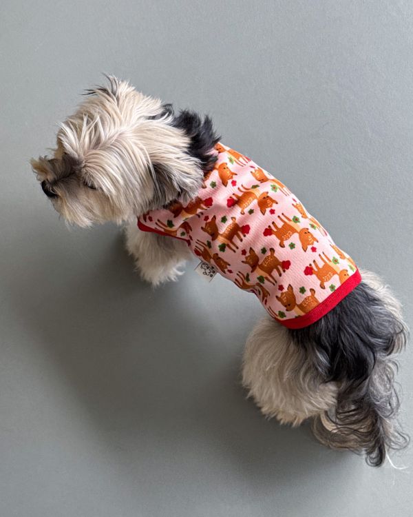 預購1028收單 | côte à côte 秋季梅花鹿無袖背心(SM-3XL) 寵物服飾,寵物選品,韓國寵物服飾,狗衣服,貓衣服,韓國寵物品牌,韓國寵物選品,韓國寵物春夏選品,寵物背心,COTEACOTE,韓國寵物品牌服飾,韓國寵物秋冬選品,寵物四腳衣,寵物連身褲,韓國冬天寵物,寵物保暖