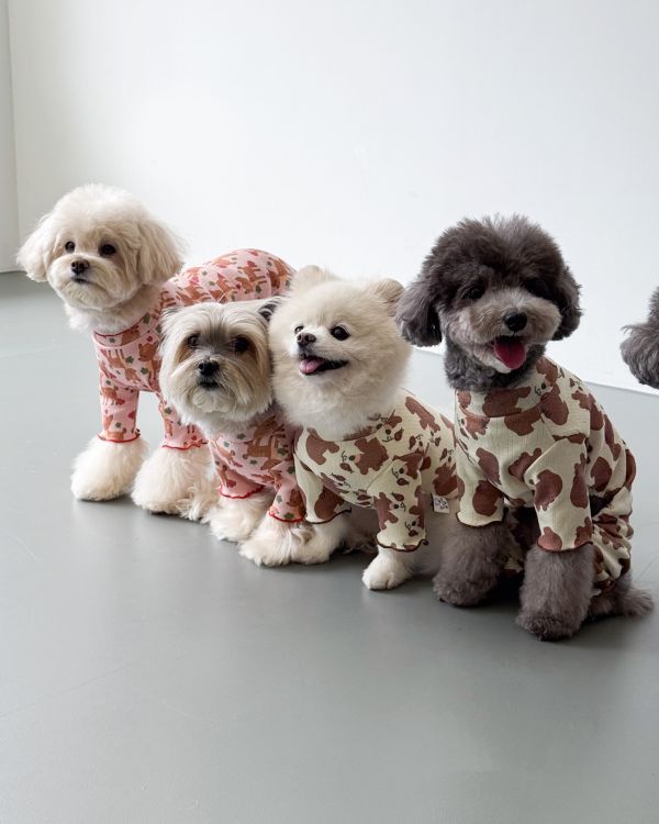 預購1028收單 | côte à côte 秋季小熊木耳邊上衣(SM-3XL) 寵物服飾,寵物選品,韓國寵物服飾,狗衣服,貓衣服,韓國寵物品牌,韓國寵物選品,韓國寵物春夏選品,寵物背心,COTEACOTE,韓國寵物品牌服飾,韓國寵物秋冬選品,寵物四腳衣,寵物連身褲,韓國冬天寵物,寵物保暖