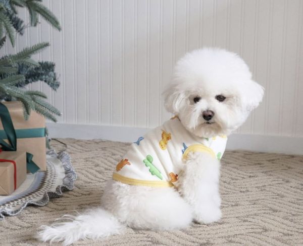 預購0112收單 | DRRR家恐龍內刷毛背心(S-2XL) 寵物服飾,寵物選品,韓國寵物服飾,狗衣服,貓衣服,韓國寵物品牌,寵物有機棉,韓國寵物選品,韓國寵物秋冬選品,狗圍巾,寵物保暖,寵物保暖服飾,韓國寵物保暖服飾