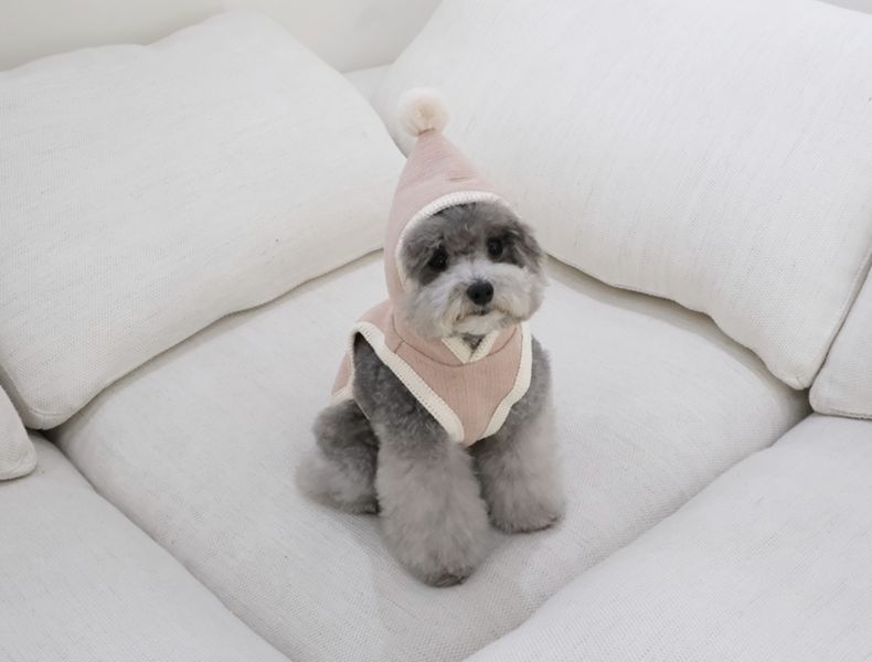 Lila Dog 精靈感粉色斗篷(XL) 寵物服飾,寵物選品,韓國寵物服飾,狗衣服,貓衣服,韓國寵物品牌,寵物有機棉,韓國寵物選品, 韓國寵物秋冬選品