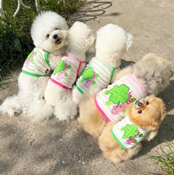 預購0419收單 | POMPOMPOM 幸運兔吊嘎(S-3XL) 寵物服飾,寵物選品,韓國寵物服飾,狗衣服,貓衣服,韓國寵物品牌,寵物有機棉,韓國寵物選品,韓國寵物春夏選品,寵物領巾