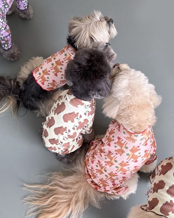 預購1028收單 | côte à côte 秋季小熊木耳邊四腳衣(SM-2XL) 寵物服飾,寵物選品,韓國寵物服飾,狗衣服,貓衣服,韓國寵物品牌,韓國寵物選品,韓國寵物春夏選品,寵物背心,COTEACOTE,韓國寵物品牌服飾,韓國寵物秋冬選品,寵物四腳衣,寵物連身褲,韓國冬天寵物,寵物保暖