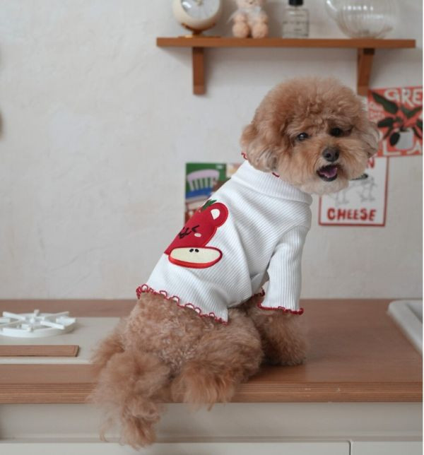 BELELE蘋果熊木耳邊坑條上衣(S-2XL) 寵物服飾,寵物選品,韓國寵物服飾,狗衣服,貓衣服,韓國寵物品牌,寵物有機棉,韓國寵物選品,韓國寵物秋冬選品,狗圍巾,寵物保暖,寵物保暖服飾,韓國寵物保暖服飾