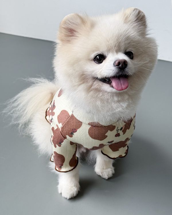 預購1028收單 | côte à côte 秋季小熊木耳邊上衣(SM-3XL) 寵物服飾,寵物選品,韓國寵物服飾,狗衣服,貓衣服,韓國寵物品牌,韓國寵物選品,韓國寵物春夏選品,寵物背心,COTEACOTE,韓國寵物品牌服飾,韓國寵物秋冬選品,寵物四腳衣,寵物連身褲,韓國冬天寵物,寵物保暖