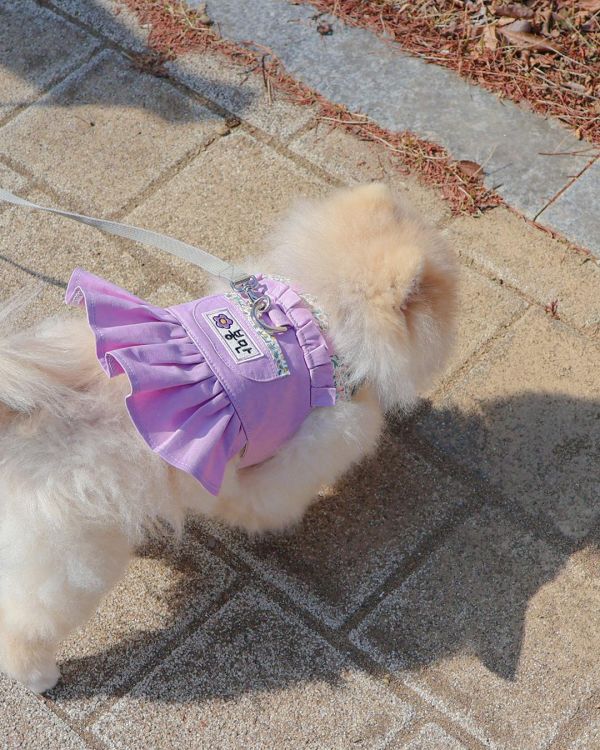 預購0313收單 | Epeels 馬卡龍碎花胸背衣(下單請備註刺繡內容) 寵物服飾,寵物選品,韓國寵物服飾,狗衣服,貓衣服,韓國寵物品牌,韓國寵物選品,韓國寵物春夏選品,寵物名牌,寵物客製商品,EPEELS,太陽花胸背裝飾