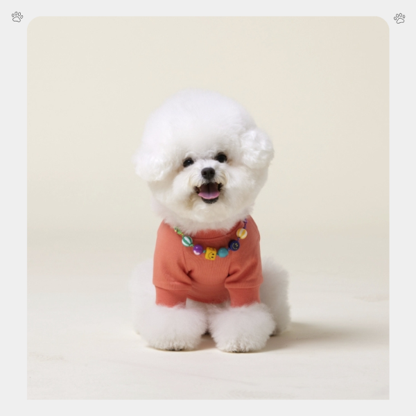 4DOGS | 微笑方塊可調式項鍊(S-L) 寵物服飾,寵物選品,韓國寵物服飾,狗衣服,貓衣服,韓國寵物品牌,寵物項鍊,4DOGS