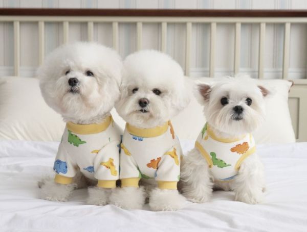 預購0112收單 | DRRR家恐龍內刷毛背心(S-2XL) 寵物服飾,寵物選品,韓國寵物服飾,狗衣服,貓衣服,韓國寵物品牌,寵物有機棉,韓國寵物選品,韓國寵物秋冬選品,狗圍巾,寵物保暖,寵物保暖服飾,韓國寵物保暖服飾