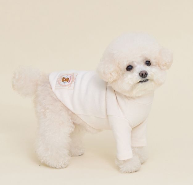 預購0115收單 | MLD 素色百搭高領上衣 (2色，S-2XL) 寵物服飾,寵物選品,韓國寵物服飾,狗衣服,貓衣服,韓國寵物品牌,寵物有機棉,韓國寵物選品,韓國寵物秋冬選品,狗四腳衣,寵物保暖,寵物保暖服飾,韓國寵物保暖服飾