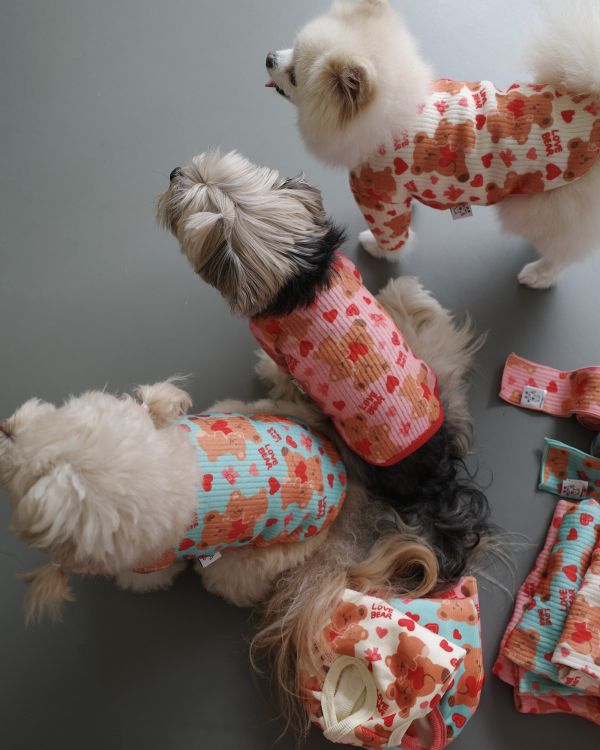 預購1028收單 | côte à côte 秋季愛心熊熊有袖上衣(3色，SM-3XL) 寵物服飾,寵物選品,韓國寵物服飾,狗衣服,貓衣服,韓國寵物品牌,韓國寵物選品,韓國寵物春夏選品,寵物背心,COTEACOTE,韓國寵物品牌服飾,韓國寵物秋冬選品,寵物四腳衣,寵物連身褲,韓國冬天寵物,寵物保暖