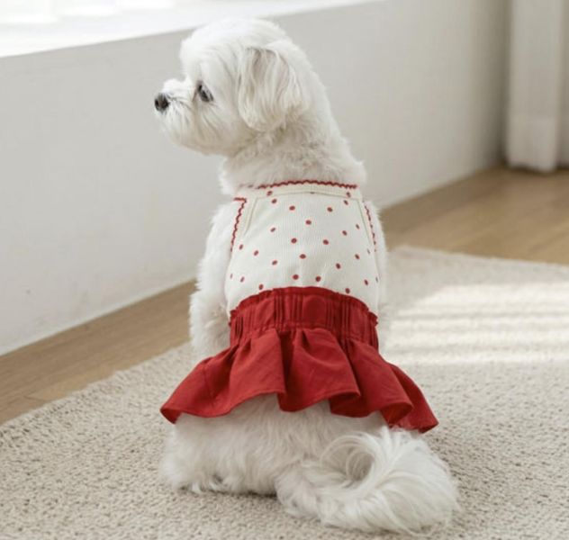 預購0410收單 | 背心小紅裙(二色 S-XL) 寵物服飾,寵物選品,韓國寵物服飾,狗衣服,貓衣服,韓國寵物品牌,寵物有機棉,韓國寵物選品,韓國寵物春夏選品,寵物風衣,寵物防水衣,DRRR,寵物針織背心