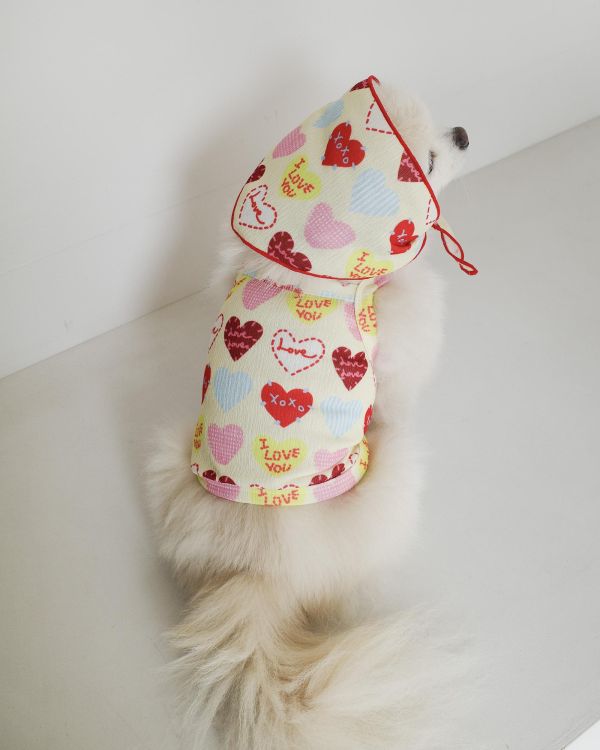 預購0410收單 | côte à côte XOXO背心(2色，SM-3XL) 寵物服飾,寵物選品,韓國寵物服飾,狗衣服,貓衣服,韓國寵物品牌,韓國寵物選品,韓國寵物春夏選品,寵物背心,COTEACOTE,韓國寵物品牌服飾,韓國寵物秋冬選品,寵物四腳衣,寵物連身褲,韓國冬天寵物,寵物保暖