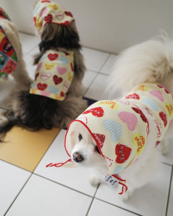 預購0410收單 | côte à côte XOXO背心(2色，SM-3XL) 寵物服飾,寵物選品,韓國寵物服飾,狗衣服,貓衣服,韓國寵物品牌,韓國寵物選品,韓國寵物春夏選品,寵物背心,COTEACOTE,韓國寵物品牌服飾,韓國寵物秋冬選品,寵物四腳衣,寵物連身褲,韓國冬天寵物,寵物保暖