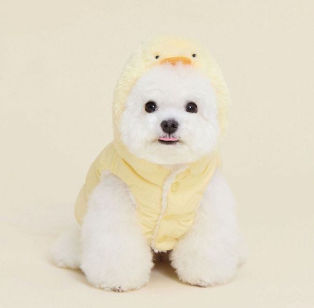 預購0115收單 | MLD 小鴨連帽背心保暖外套(附牽繩的扣環) (2色，S-2XL) 寵物服飾,寵物選品,韓國寵物服飾,狗衣服,貓衣服,韓國寵物品牌,寵物有機棉,韓國寵物選品,韓國寵物秋冬選品,狗四腳衣,寵物保暖,寵物保暖服飾,韓國寵物保暖服飾