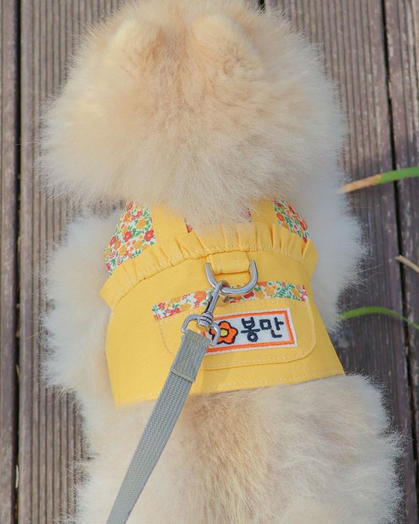 預購0313收單 | Epeels 馬卡龍碎花胸背衣(下單請備註刺繡內容) 寵物服飾,寵物選品,韓國寵物服飾,狗衣服,貓衣服,韓國寵物品牌,韓國寵物選品,韓國寵物春夏選品,寵物名牌,寵物客製商品,EPEELS,太陽花胸背裝飾