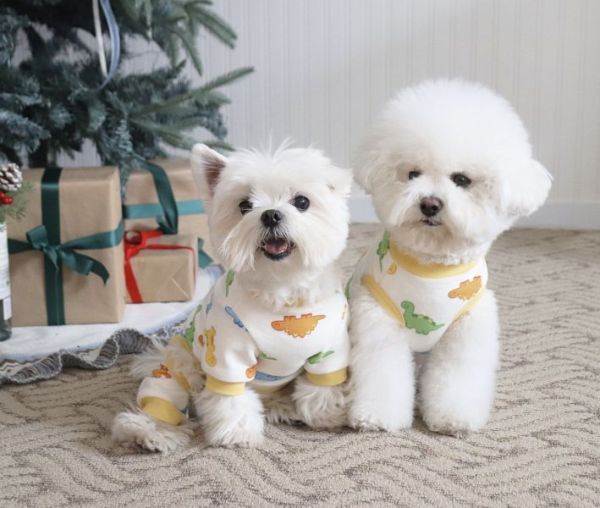 預購0112收單 | DRRR家恐龍內刷毛背心(S-2XL) 寵物服飾,寵物選品,韓國寵物服飾,狗衣服,貓衣服,韓國寵物品牌,寵物有機棉,韓國寵物選品,韓國寵物秋冬選品,狗圍巾,寵物保暖,寵物保暖服飾,韓國寵物保暖服飾