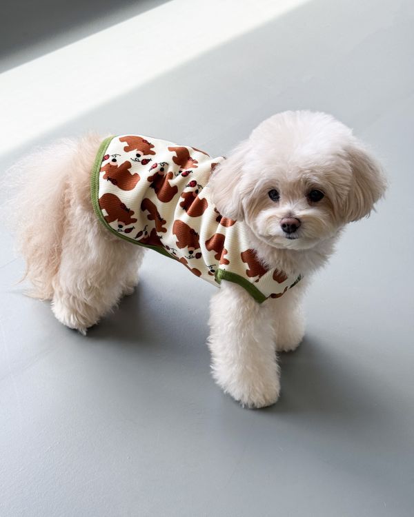 預購1028收單 | côte à côte 秋季小熊無袖背心(SM-3XL) 寵物服飾,寵物選品,韓國寵物服飾,狗衣服,貓衣服,韓國寵物品牌,韓國寵物選品,韓國寵物春夏選品,寵物背心,COTEACOTE,韓國寵物品牌服飾,韓國寵物秋冬選品,寵物四腳衣,寵物連身褲,韓國冬天寵物,寵物保暖