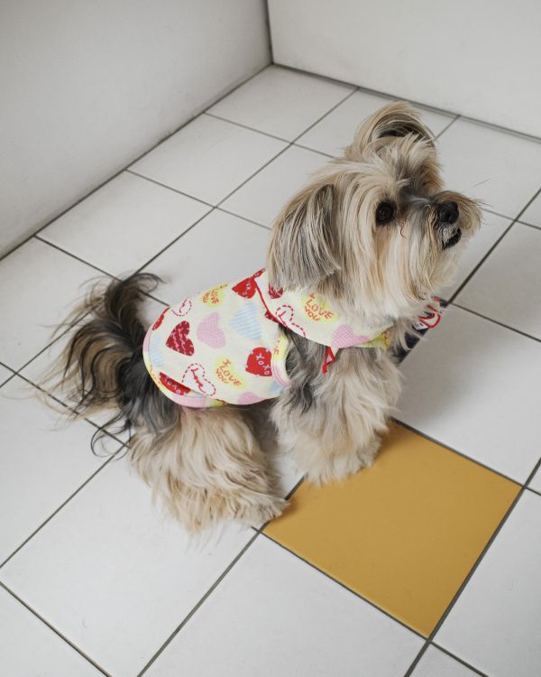 預購0410收單 | côte à côte XOXO背心(2色，SM-3XL) 寵物服飾,寵物選品,韓國寵物服飾,狗衣服,貓衣服,韓國寵物品牌,韓國寵物選品,韓國寵物春夏選品,寵物背心,COTEACOTE,韓國寵物品牌服飾,韓國寵物秋冬選品,寵物四腳衣,寵物連身褲,韓國冬天寵物,寵物保暖