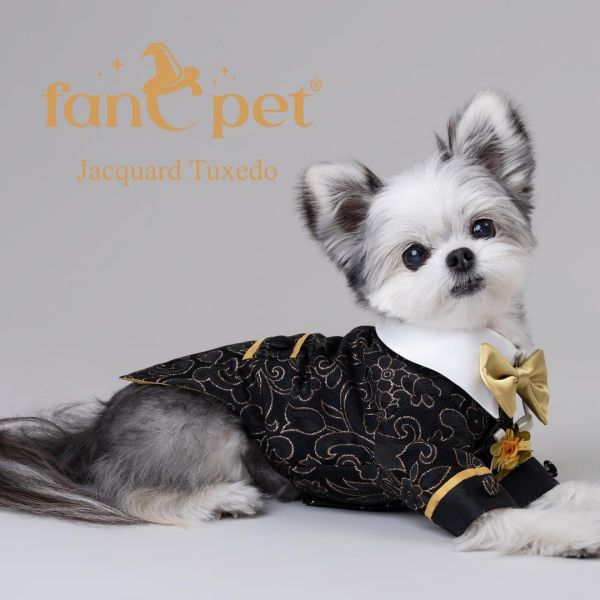 預購0510收單 | FanCpet Rose婚禮必備禮服(婚紗與燕尾服，S-2XL) 寵物服飾,寵物選品,韓國寵物服飾,狗衣服,貓衣服,韓國寵物品牌,韓國寵物選品,韓國寵物春夏選品,寵物背心,COTEACOTE,韓國寵物品牌服飾,韓國寵物秋冬選品,寵物四腳衣,寵物連身褲,韓國冬天寵物,寵物保暖