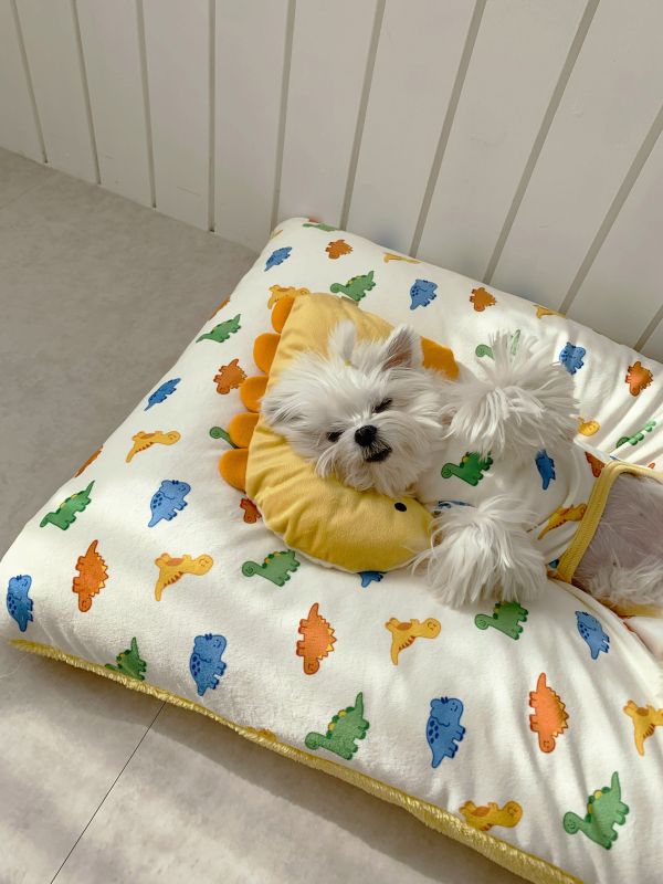 預購0112收單 | DRRR家恐龍系列之恐龍抱枕 寵物服飾,寵物選品,韓國寵物服飾,狗衣服,貓衣服,韓國寵物品牌,寵物有機棉,韓國寵物選品,韓國寵物秋冬選品,狗圍巾,寵物保暖,寵物保暖服飾,韓國寵物保暖服飾