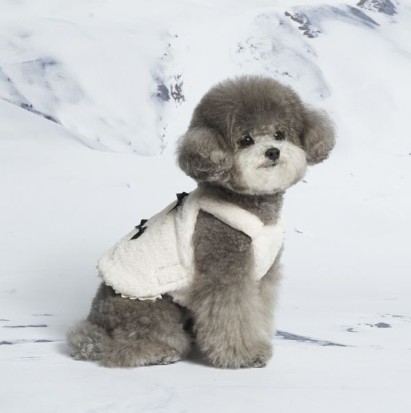 預購0115收單 | MLD 毛絨緞帶蝴蝶結背心(2色，S-XL) 寵物服飾,寵物選品,韓國寵物服飾,狗衣服,貓衣服,韓國寵物品牌,寵物有機棉,韓國寵物選品,胸背,胸背衣