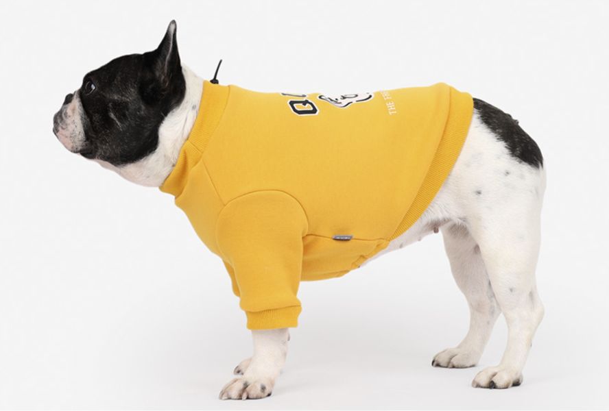 QUOI法鬥專屬品牌 | 狗狗頭內刷毛上衣帽子組-黃色/桃紅/紫色(XL-3XL) 寵物服飾,寵物選品,韓國寵物服飾,狗衣服,貓衣服,韓國寵物品牌,寵物有機棉,韓國寵物選品,韓國寵物秋冬選品,狗圍巾,寵物保暖,寵物保暖服飾,韓國寵物保暖服飾,法鬥,QUOI,法國鬥牛犬
