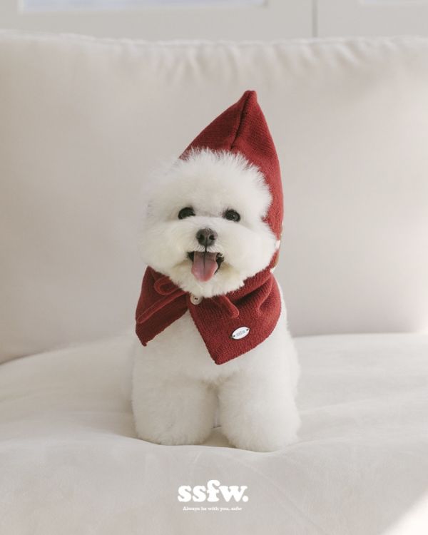 SSFW | 聖誕新年必備小紅帽斗篷領巾(S-L) 寵物服飾,寵物選品,韓國寵物服飾,狗衣服,貓衣服,韓國寵物品牌,寵物有機棉,韓國寵物選品,韓國寵物秋冬選品,寵物可愛上衣,寵物胸背衣,SSFW,BITEME,寵物保暖,寵物四腳衣