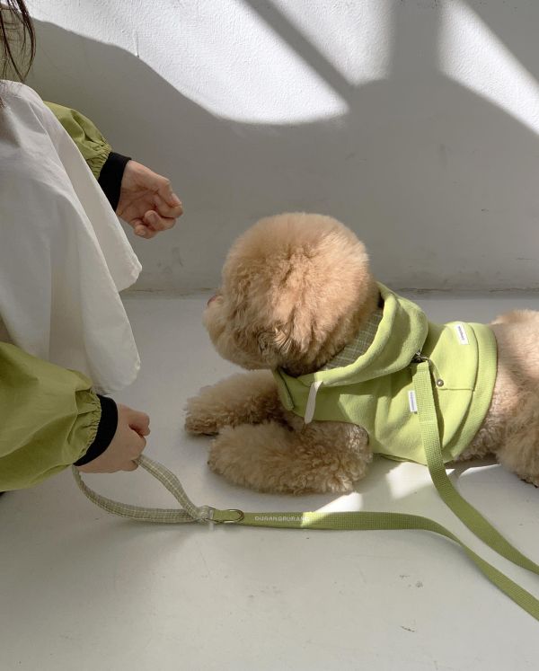 預購0410收單 | DR家格紋帽胸背衣(五色 S-2XL) 寵物服飾,寵物選品,韓國寵物服飾,狗衣服,貓衣服,韓國寵物品牌,寵物有機棉,韓國寵物選品,韓國寵物春夏選品,寵物風衣,寵物防水衣,DRRR,寵物針織背心