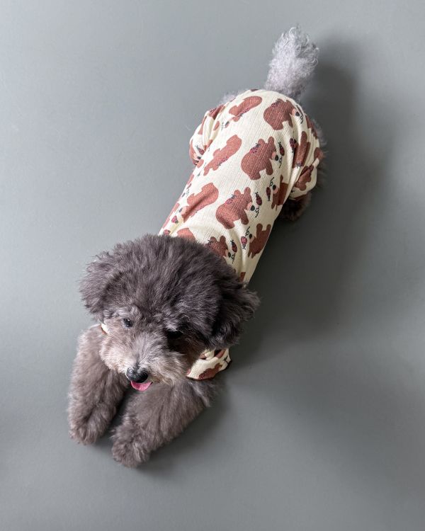 預購1028收單 | côte à côte 秋季小熊木耳邊四腳衣(SM-2XL) 寵物服飾,寵物選品,韓國寵物服飾,狗衣服,貓衣服,韓國寵物品牌,韓國寵物選品,韓國寵物春夏選品,寵物背心,COTEACOTE,韓國寵物品牌服飾,韓國寵物秋冬選品,寵物四腳衣,寵物連身褲,韓國冬天寵物,寵物保暖