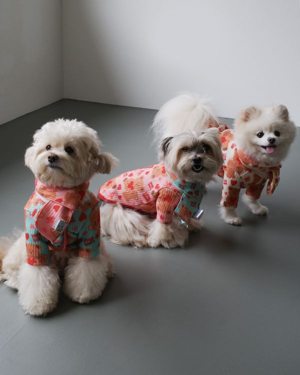 預購1028收單 | côte à côte 秋季愛心熊熊有袖上衣(3色，SM-3XL) 寵物服飾,寵物選品,韓國寵物服飾,狗衣服,貓衣服,韓國寵物品牌,韓國寵物選品,韓國寵物春夏選品,寵物背心,COTEACOTE,韓國寵物品牌服飾,韓國寵物秋冬選品,寵物四腳衣,寵物連身褲,韓國冬天寵物,寵物保暖