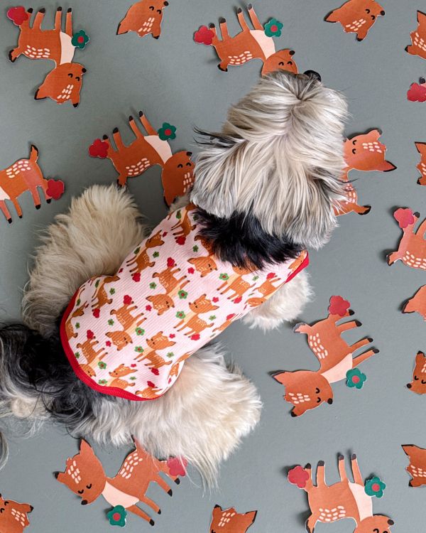 預購1028收單 | côte à côte 秋季梅花鹿無袖背心(SM-3XL) 寵物服飾,寵物選品,韓國寵物服飾,狗衣服,貓衣服,韓國寵物品牌,韓國寵物選品,韓國寵物春夏選品,寵物背心,COTEACOTE,韓國寵物品牌服飾,韓國寵物秋冬選品,寵物四腳衣,寵物連身褲,韓國冬天寵物,寵物保暖