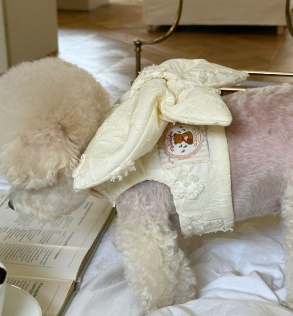 Meaningeless Dog |  蝴蝶造型春款黃色胸背衣(S-XL) 寵物服飾,寵物選品,韓國寵物服飾,狗衣服,貓衣服,韓國寵物品牌,寵物有機棉,韓國寵物選品,韓國寵物秋冬選品,狗四腳衣,寵物保暖,寵物保暖服飾,韓國寵物保暖服飾