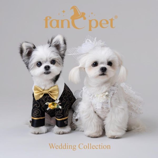 預購0510收單 | FanCpet Rose婚禮必備禮服(婚紗與燕尾服，S-2XL) 寵物服飾,寵物選品,韓國寵物服飾,狗衣服,貓衣服,韓國寵物品牌,韓國寵物選品,韓國寵物春夏選品,寵物背心,COTEACOTE,韓國寵物品牌服飾,韓國寵物秋冬選品,寵物四腳衣,寵物連身褲,韓國冬天寵物,寵物保暖