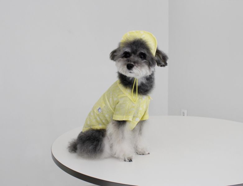 TROL｜變形蟲系列民族風襯衫(2XL) 