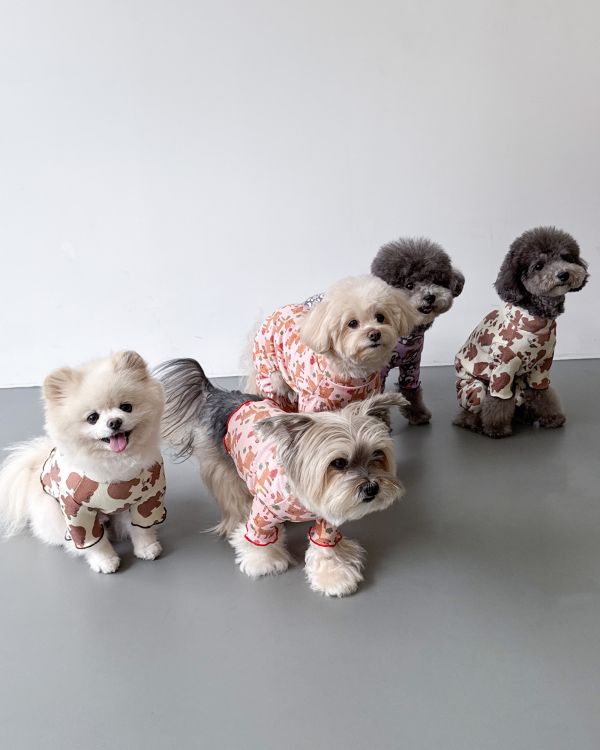 預購1028收單 | côte à côte 秋季小熊木耳邊上衣(SM-3XL) 寵物服飾,寵物選品,韓國寵物服飾,狗衣服,貓衣服,韓國寵物品牌,韓國寵物選品,韓國寵物春夏選品,寵物背心,COTEACOTE,韓國寵物品牌服飾,韓國寵物秋冬選品,寵物四腳衣,寵物連身褲,韓國冬天寵物,寵物保暖