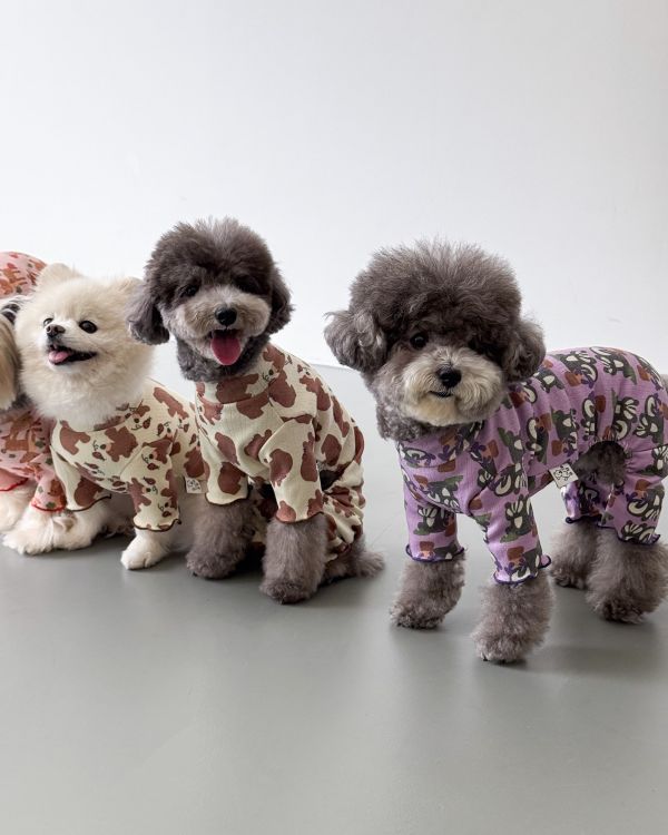 預購1028收單 | côte à côte 秋季紫色松鼠木耳邊四腳衣(SM-2XL) 寵物服飾,寵物選品,韓國寵物服飾,狗衣服,貓衣服,韓國寵物品牌,韓國寵物選品,韓國寵物春夏選品,寵物背心,COTEACOTE,韓國寵物品牌服飾,韓國寵物秋冬選品,寵物四腳衣,寵物連身褲,韓國冬天寵物,寵物保暖