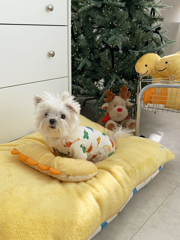 預購0112收單 | DRRR家恐龍系列之恐龍睡床(兩面可用) 寵物服飾,寵物選品,韓國寵物服飾,狗衣服,貓衣服,韓國寵物品牌,寵物有機棉,韓國寵物選品,韓國寵物秋冬選品,狗圍巾,寵物保暖,寵物保暖服飾,韓國寵物保暖服飾