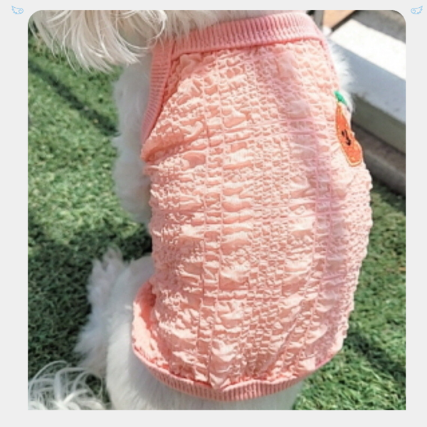 水果籃透涼泡泡棉小背心(2-3XL) 寵物服飾,寵物選品,韓國寵物服飾,狗衣服,貓衣服,韓國寵物品牌