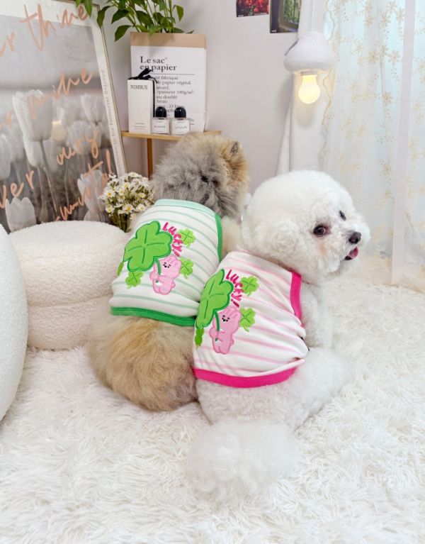 預購0419收單 | POMPOMPOM 幸運兔吊嘎(S-3XL) 寵物服飾,寵物選品,韓國寵物服飾,狗衣服,貓衣服,韓國寵物品牌,寵物有機棉,韓國寵物選品,韓國寵物春夏選品,寵物領巾