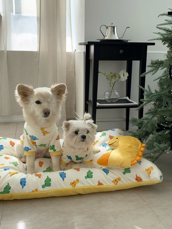 預購0112收單 | DRRR家恐龍系列之恐龍睡床(兩面可用) 寵物服飾,寵物選品,韓國寵物服飾,狗衣服,貓衣服,韓國寵物品牌,寵物有機棉,韓國寵物選品,韓國寵物秋冬選品,狗圍巾,寵物保暖,寵物保暖服飾,韓國寵物保暖服飾